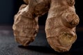 Macro photo. ginger root on a black background. side view. volume ripe product. macro photo. Against viruses and diseases