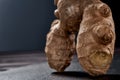 Macro photo. ginger root on a black background. side view. volume ripe product. macro photo. Against viruses and