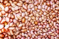 Macro photo of ground peanuts in husk. Closeup of ground peanut in husk. Agricultural farms. It can be used as a background