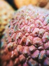 Macro photo lychee litchi dragon eye tropical exotic fruit blurred unfocused background texture Royalty Free Stock Photo