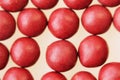 Macro photo of many red ball-shaped pills. Tibetan folk medicine from the herbal complex.