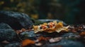 Macro Photo Nachos On Stone Rustic Pub. Generative AI Royalty Free Stock Photo