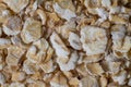 Macro photo of oatmeal. Whole grains of oats, porridge for breakfast. Gluten