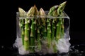 Macro Photo One Asparagus In An Ice Cube. Generative AI Royalty Free Stock Photo