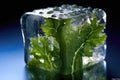 Macro Photo One Kale In An Ice Cube. Generative AI Royalty Free Stock Photo