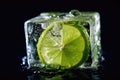 Macro Photo One Lime In An Ice Cube. Generative AI