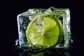 Macro Photo One Lime In An Ice Cube. Generative AI