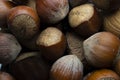 Part of Hazelnuts on a Pile