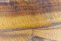 The polished surface of a Tiger eye gemstone Royalty Free Stock Photo
