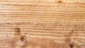 macro photo of poplar board surface with wood texture Royalty Free Stock Photo