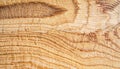 macro photo of poplar board surface with wood texture Royalty Free Stock Photo