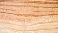 macro photo of poplar board surface with wood texture Royalty Free Stock Photo