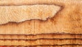 macro photo of poplar board surface with wood texture Royalty Free Stock Photo