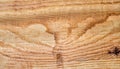 macro photo of poplar board surface with wood texture Royalty Free Stock Photo