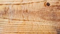 macro photo of poplar board surface with wood texture Royalty Free Stock Photo