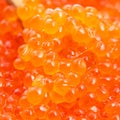 Macro photo of red caviar in wooden spoon Royalty Free Stock Photo
