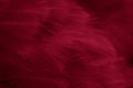 Macro photo of red hen feathers. background or textura Royalty Free Stock Photo