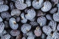 Macro photo of ripe poppy seeds