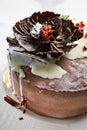 Macro Photo of Round Whole Chocolate Cake Royalty Free Stock Photo