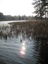 Macro photo with rural landscape decorative background of evening sunset in early spring on the lake in Lithuania Royalty Free Stock Photo