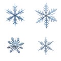Macro photo set of four frozen snowflakes on alpha layer. Detailed view of intricate ice crystal patterns. Nature artistry