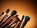 Macro photo of a set of professional makeup brushes Royalty Free Stock Photo