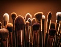 Macro photo of a set of professional makeup brushes Royalty Free Stock Photo