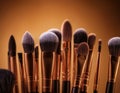 Macro photo of a set of professional makeup brushes Royalty Free Stock Photo