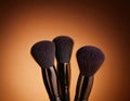 Macro photo of a set of professional makeup brushes Royalty Free Stock Photo