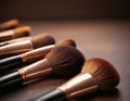 Macro photo of a set of professional makeup brushes Royalty Free Stock Photo
