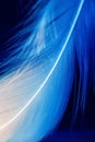 Single white romantical feather on blue deep background Royalty Free Stock Photo