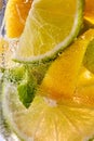 Macro photo of sliced lemon and lime with a leaf of mint and bubbles in glass. Cool drink mojito Royalty Free Stock Photo