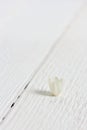 Macro photo of a small flower bud Lily of the valley on a white wooden table Royalty Free Stock Photo