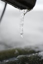 Macro photo of small growing icicle.