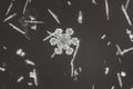 The macro photo of a snowflake, background or abstraction. Winter photo very close.