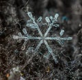 The macro photo of a snowflake, background or abstraction. Winter photo very close.