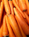 Macro photo spring food vegtable carrot. Texture background of fresh large orange carrots.Â 