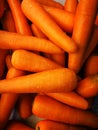 Macro photo spring food vegtable carrot. Texture background of fresh large orange carrots. Product image vegetable root carrot.