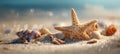 Macro Photo of Starfish and Shells on Sandy Beach with Blurred Ocean Background Royalty Free Stock Photo