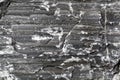 The surface of a geological fault in a dark marble from the Austrian Alps.