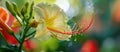 Macro photo of a terrestrial plant with water drops on its petals Royalty Free Stock Photo