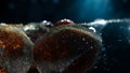 Macro photo of stones with bubbles