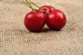 Macro photo of tree red cherries with water drops which are together on one green branch on jute background. Selective focus. Royalty Free Stock Photo