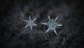 Two snowflakes with similar shape and structure on dark textured background Royalty Free Stock Photo