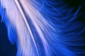 White romantical feather on blue deep background underwater Royalty Free Stock Photo