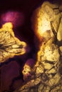 Macro photo of a yellow and purple agate rock slice. Royalty Free Stock Photo