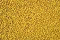 A macro photograph of bee pollen granules in intimate detail.