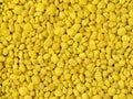 A macro photograph of bee pollen granules in intimate detail.