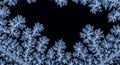 Intricate ice crystals frame the darkness beautifully Royalty Free Stock Photo