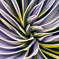 A macro photograph capturing the delicate details of a vibrant flower petal3, Generative AI